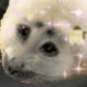 apple_user_1735180314