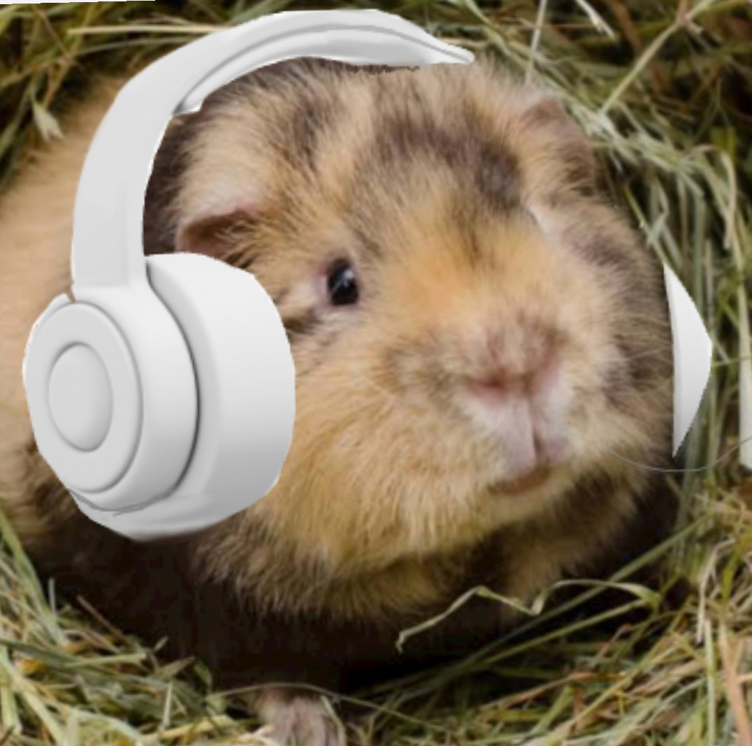 apple_user_1740967132