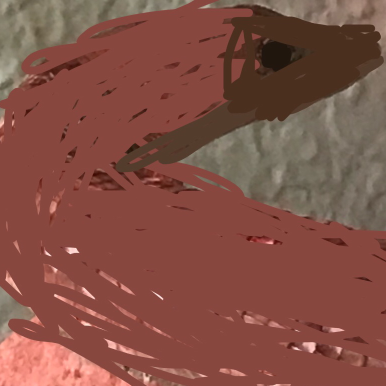 apple_user_1732053567