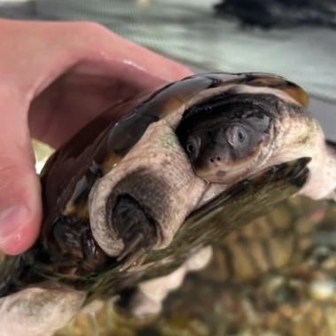 apple_user_1735147270