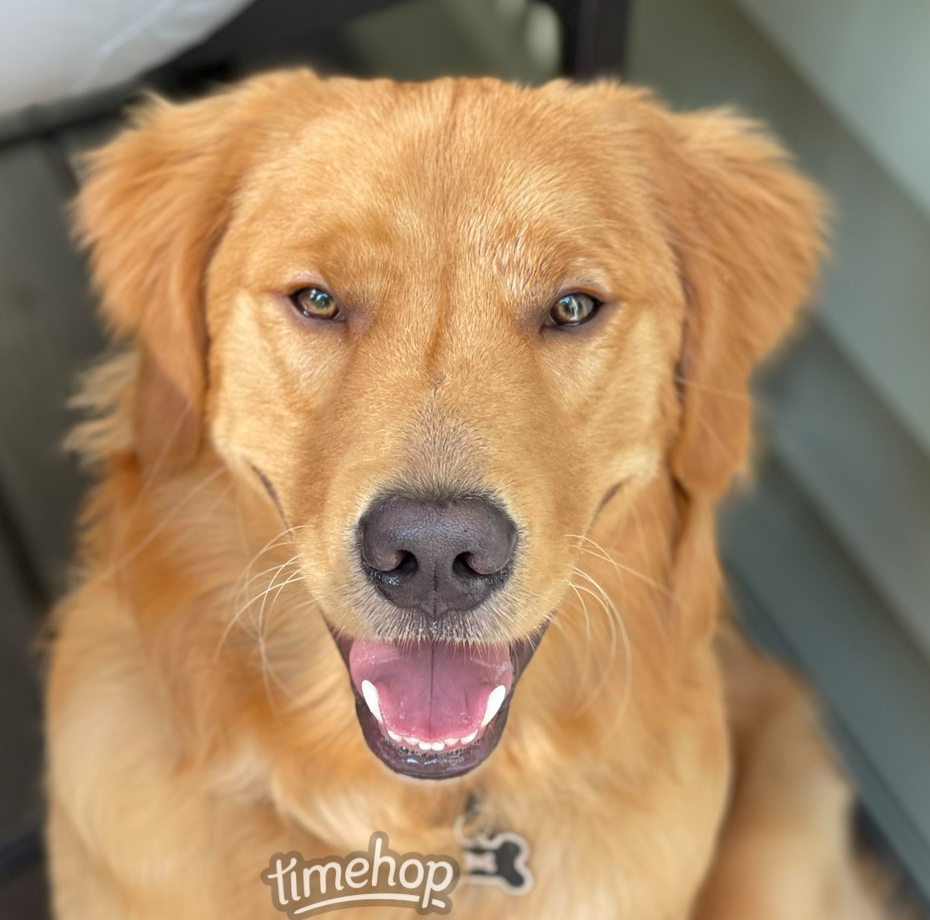 apple_user_1760040626