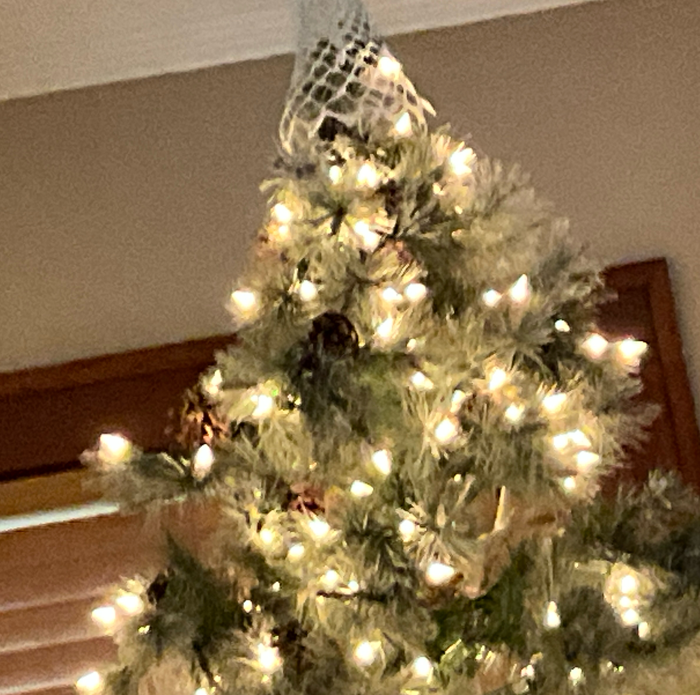 apple_user_1766710531