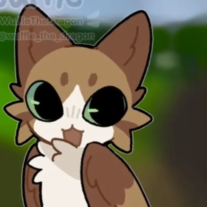 Meowl kitty owl 1
