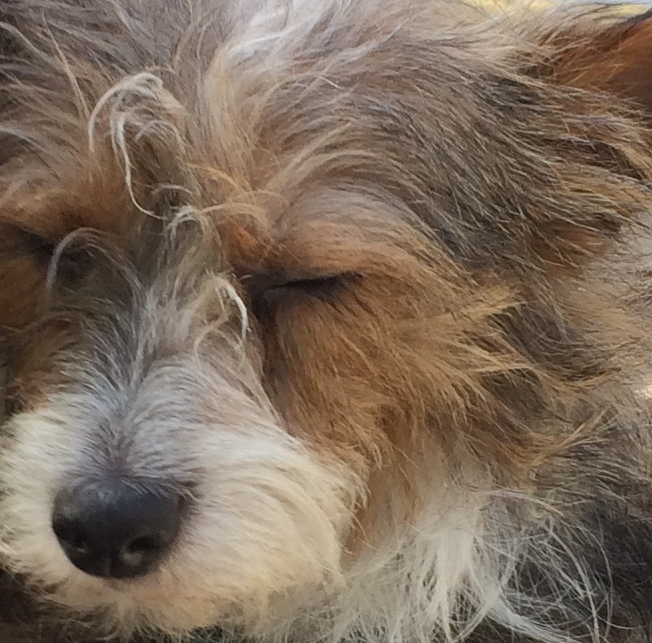 apple_user_1766714421