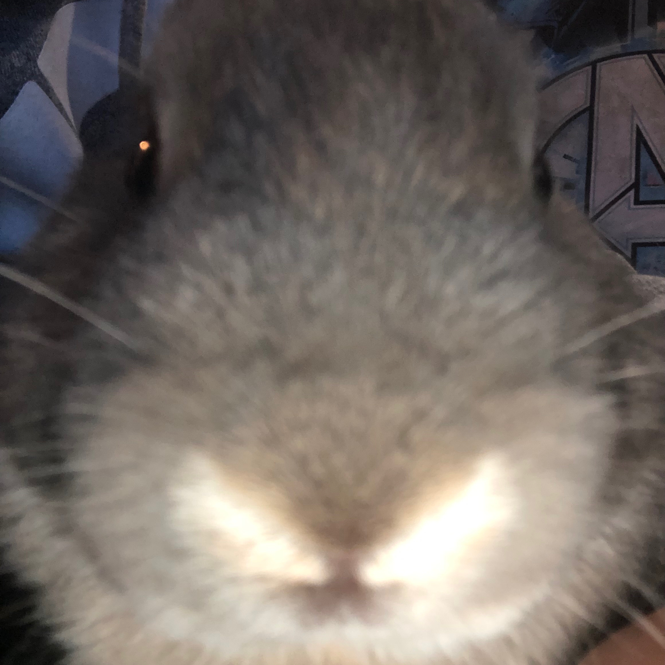 apple_user_1769445883