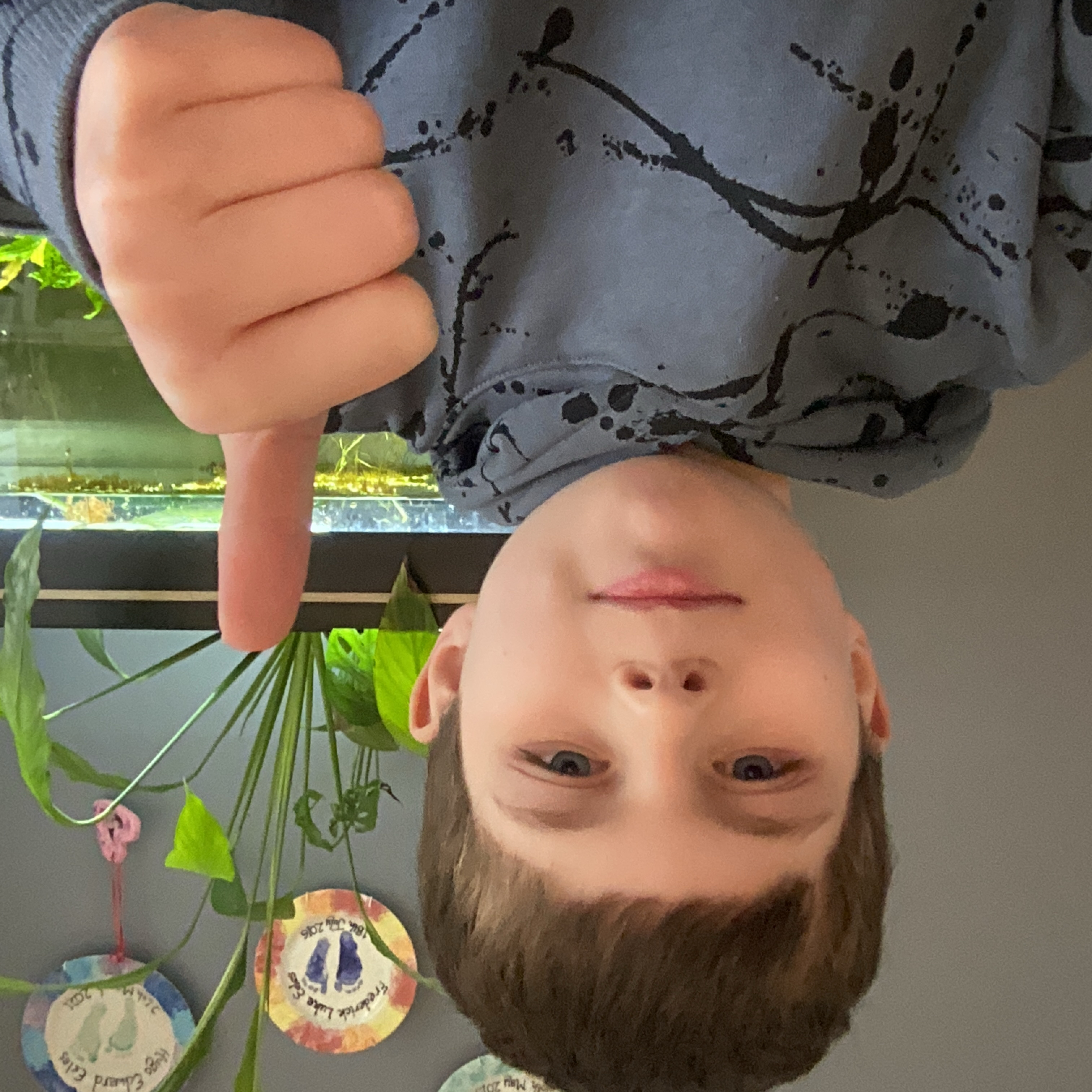 apple_user_1771407959