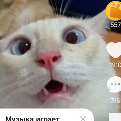 Алина Обозинцева