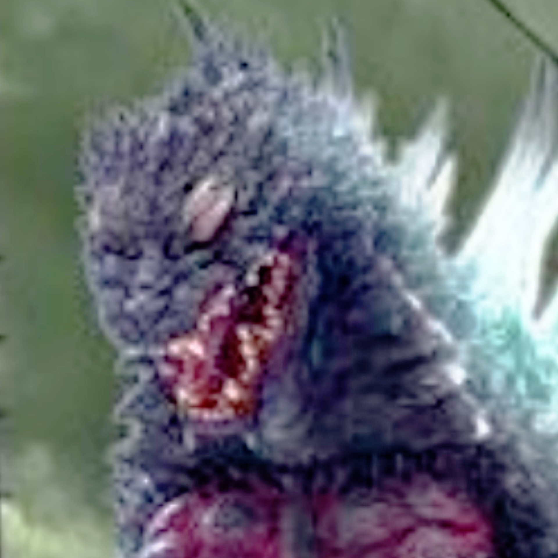 Bluuduud'S backup YT